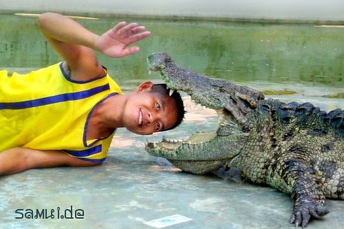Foto: Samui Krokodilshow (Crocodil Farm Koh Samui)